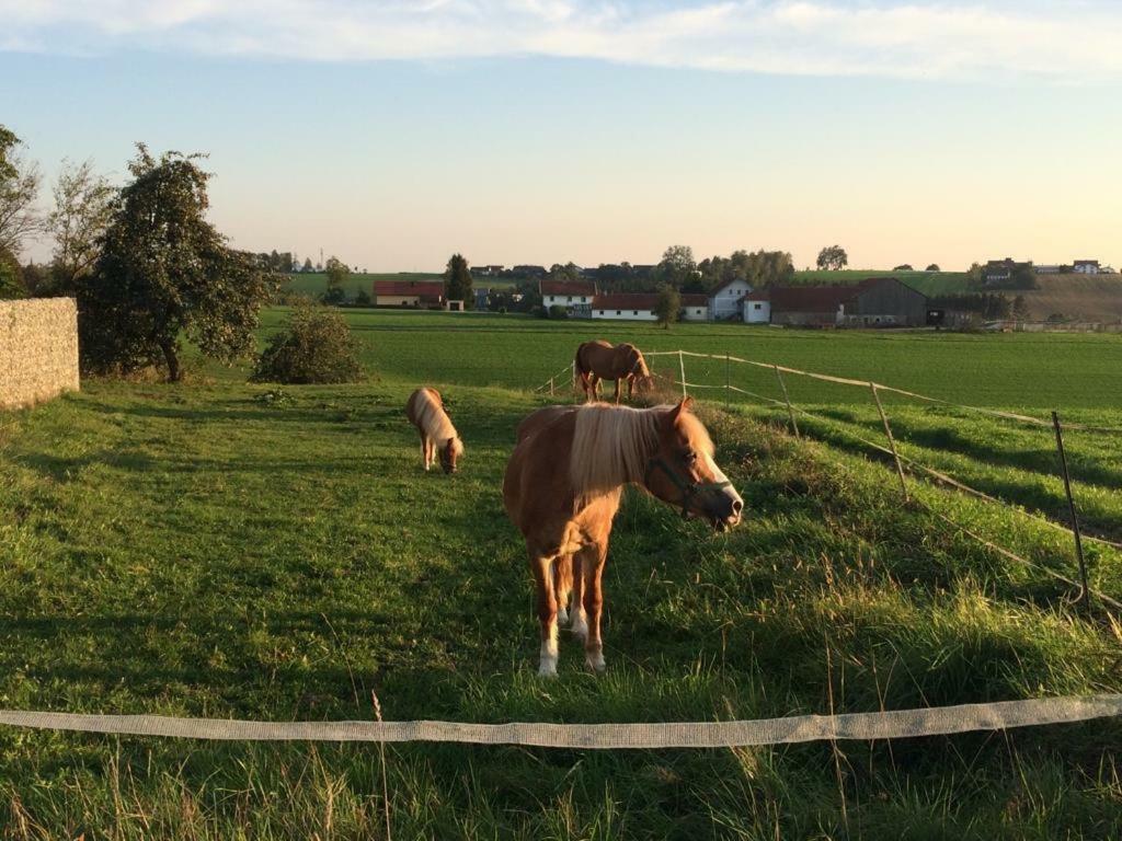 Ferienhof Loew Salzweg Luaran gambar