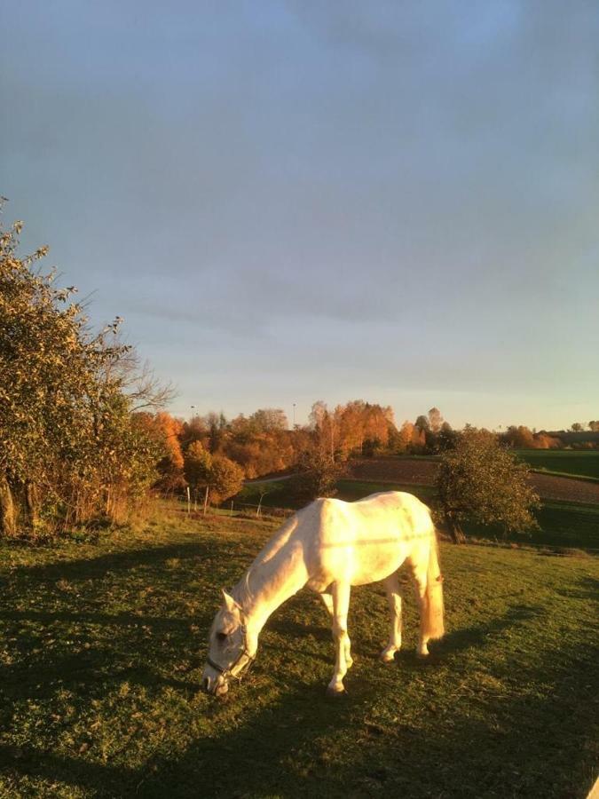 Ferienhof Loew Salzweg Luaran gambar