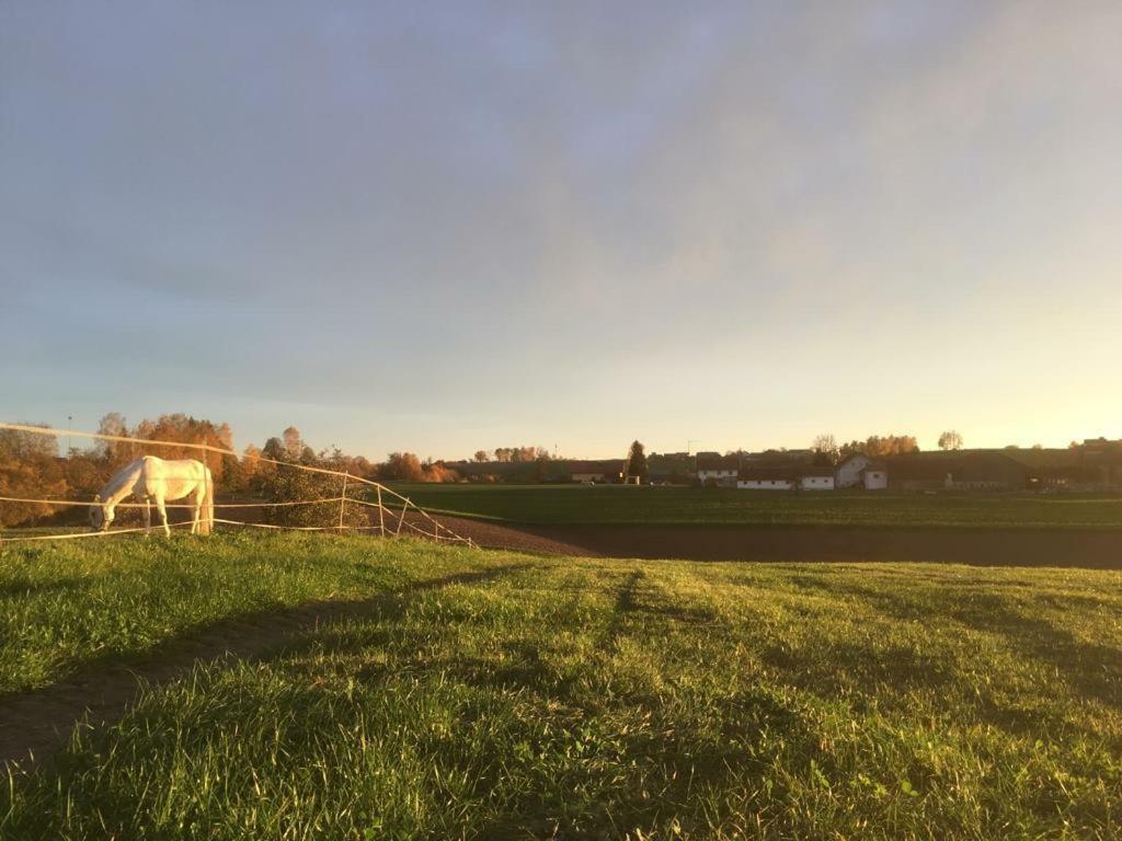 Ferienhof Loew Salzweg Luaran gambar